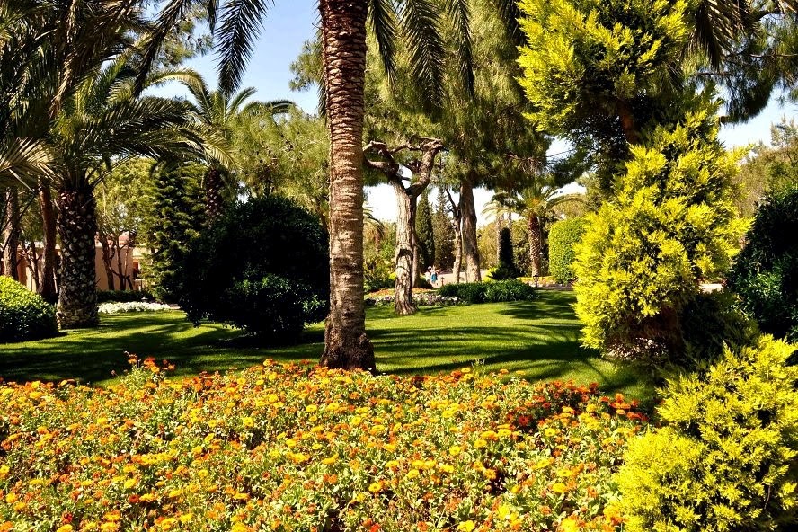 imagini hotel CLUB ASTERIA BELEK